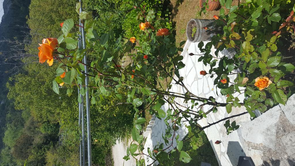 Traditional Guesthouse Marousio Rodavgi Luaran gambar